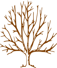 Simple Bare Tree Clipart Image Info - Tree With Bare Bare Tree Clipart Png