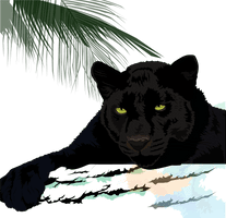 Puma Jaguar Panther Leopard Cougar Black Cheetah - Free PNG