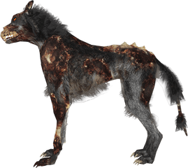 Zombie Dog Png - Call Of Duty Wolf