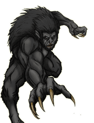 Werewolf Png - Dracula 1992 Wolf Dracula