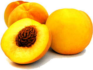 Peach Png Image Background - Peach Fruit