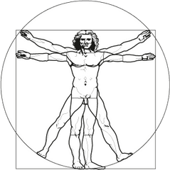 Vitruvian Vector In - Vitruvian Man Ai Vector Png