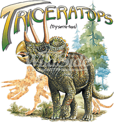 Download Triceratops - Dinosaur Full Size Png Image Pngkit Dinosaurios Para Estampar Triceratops