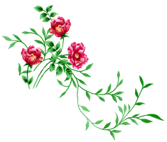 Floral Decoration Wedding Free HQ Image - Free PNG
