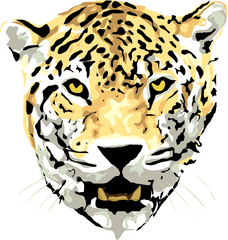 Jaguar Leopard Animal - Jaguar Dibujo Cara Png