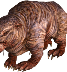 Mole Rat Fallout 3 Wiki Fandom - Fallout Mole Rat Png