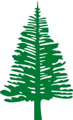 Pine Trees Png Hd - Norfolk Island Flag