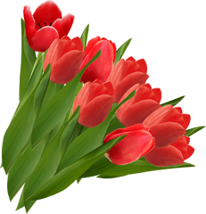 Download Tulip Png Image For Free - Red Tulips Clipart