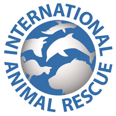 Homepage - International Animal Rescue Png