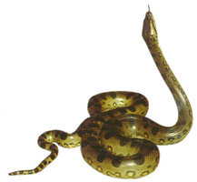 Anaconda Picture - Free PNG