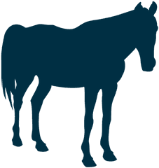 Horse Still Silhouette - Transparent Png U0026 Svg Vector File Horse Still Png