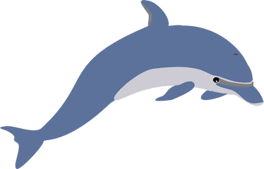 Clipart Dolphin Transparent Background - Transparent Dolphin Clipart Png