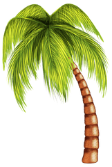 Download Pin Palm Tree Clip Art Png - Cartoon Beach Coconut Tree