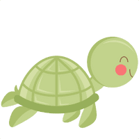 Cute Turtle Photos - Free PNG