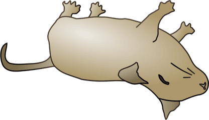 Library Dead Fish Png Files - Cartoon Dead Animal Png