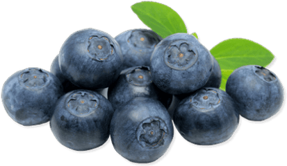 Blueberries Transparent Png Images - Transparent Transparent Background Blueberries