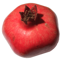 Pomegranate Transparent - Free PNG