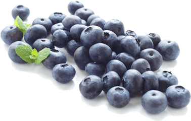 Png Transparent Blueberry - Free Blueberries Clipart