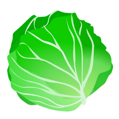 Cabbage Clip Art Png - Cabbage Clip Art