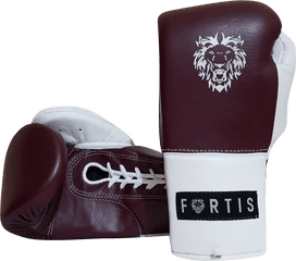 Fortis Predator Boxing Gloves - Boxing Png