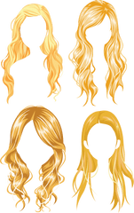 Hair Wig Png - Vector Transparent Hair Logo