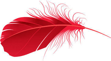 Feather Vector PNG Image High Quality