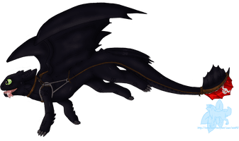 Photos Flying Toothless PNG Image High Quality