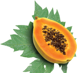 Download Nutrition Of Papaya Fruit Png