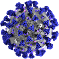 Virus Covid-19 Free Clipart HQ - Free PNG