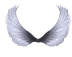 Wings - Free PNG