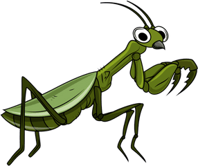 Mantis Png Download Image With - Transparent Praying Mantis Clipart