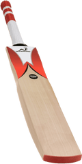 Woodworm Cricket Fireworm Attack Junior - Woodworm Cricket Png