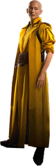 Png Ancient One O AnciÃ£o Tilda Swinton Doctor Strange - Ancient One Doctor Strange Png