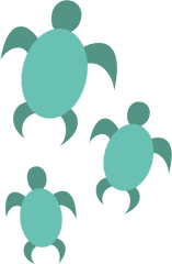 Turtle Clipart Png - Turtle Clipart Clear Background Clipart Sea Turtle Png