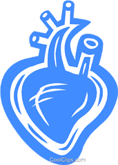 Human Heart Royalty Free Vector Clip - Graphics Png