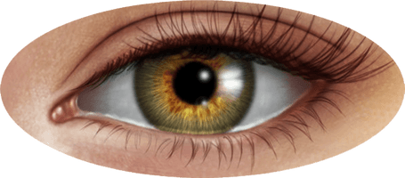 Human Eye Image - Free PNG
