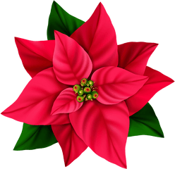 Red Flower Png Image - Flowers Png