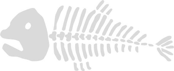 Dead Fish Bones Png Transparent - Dead Fish Skeleton Drawing Transparent