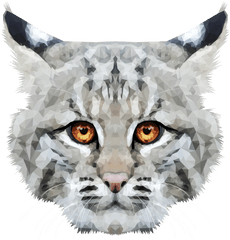 Tumblr - Snow Leopard Png