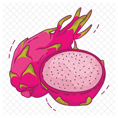 Dragon Fruit Icon Of Flat Style - Dragon Fruit Illustration Png