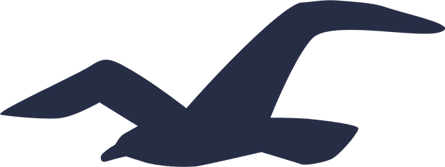 Meaning Hollister Logo And Symbol - Hollister Logo Png