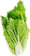 Download Lettuce Leaf Png Image For Free - Lettuce Png