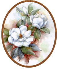 Magnolias - Magnolias Pintadas Png