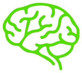 The Brain Shoppe - Brain Png