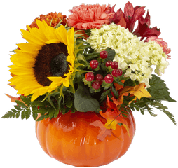 Pumpkin Spice Small Connells Maple Lee Flowers And Gifts - Bouquet Png