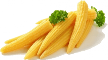 Baby Fresh Corn Cobs Free Download PNG HD