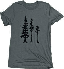 Tall Trees Unisex Tee - Shortleaf Black Spruce Png