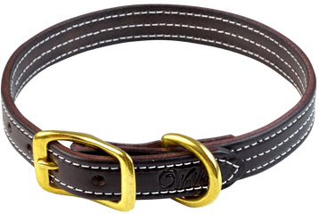 British Dog Collar - Buckle Png