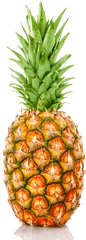 Pineapple Png Transparent Images - Pineapple With Transparent Background