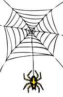 Halloween Spider Transparent - Free PNG